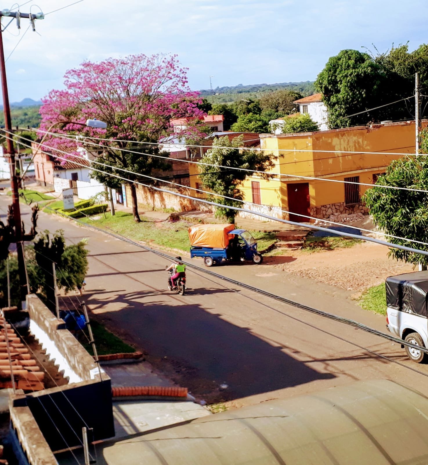Patio adoquinado con lapacho florecido junto a la vivienda - OGA Constructora